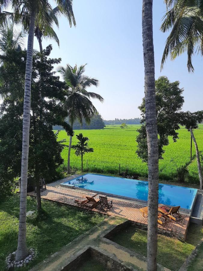 Rice Rice Villas Tissamaharama Extérieur photo