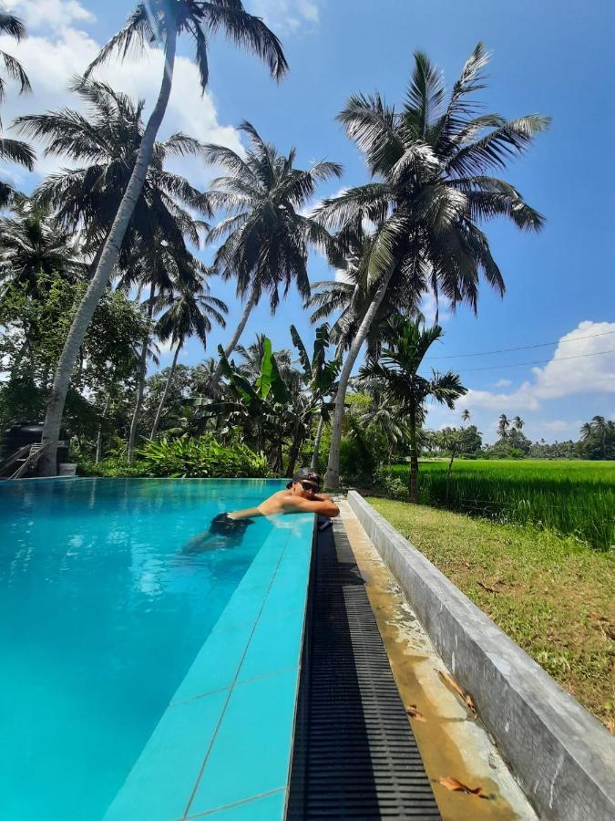 Rice Rice Villas Tissamaharama Extérieur photo