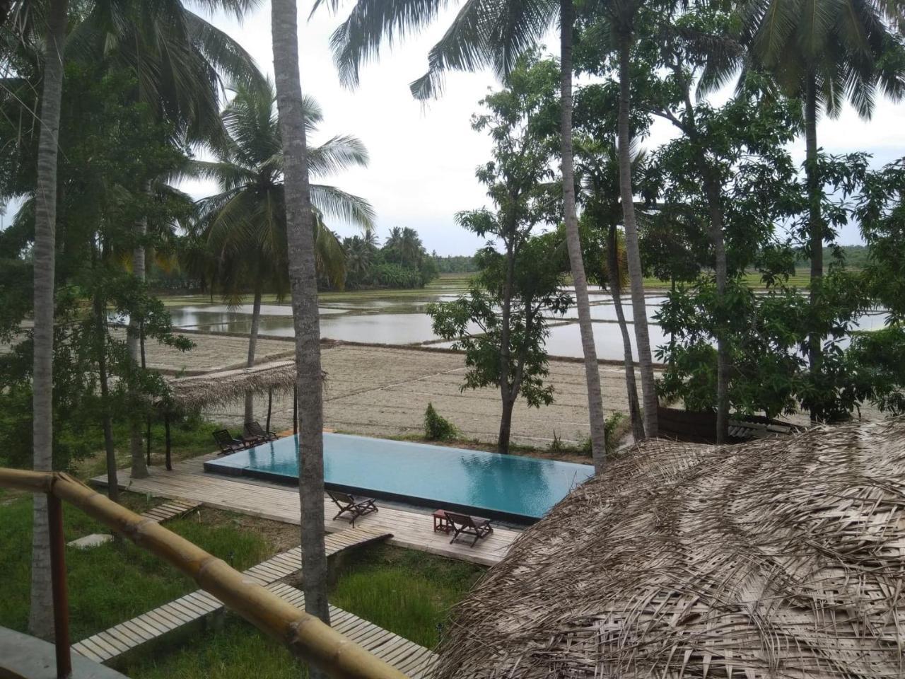 Rice Rice Villas Tissamaharama Extérieur photo