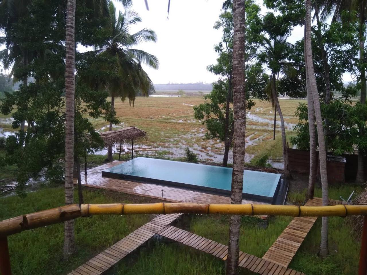 Rice Rice Villas Tissamaharama Extérieur photo