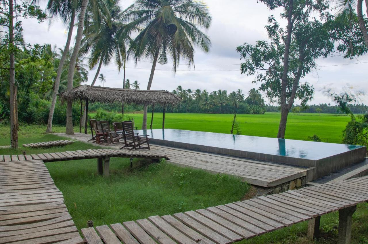 Rice Rice Villas Tissamaharama Extérieur photo